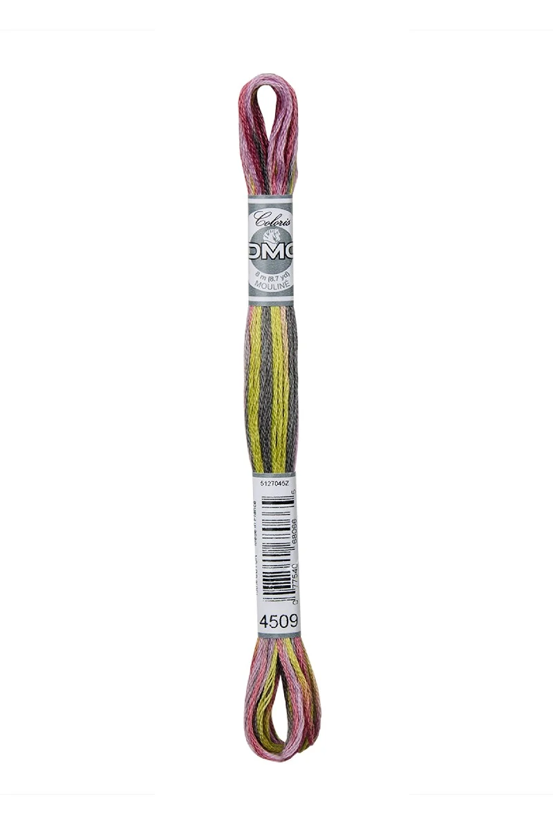 DMC Mouliné Coloris - 4509