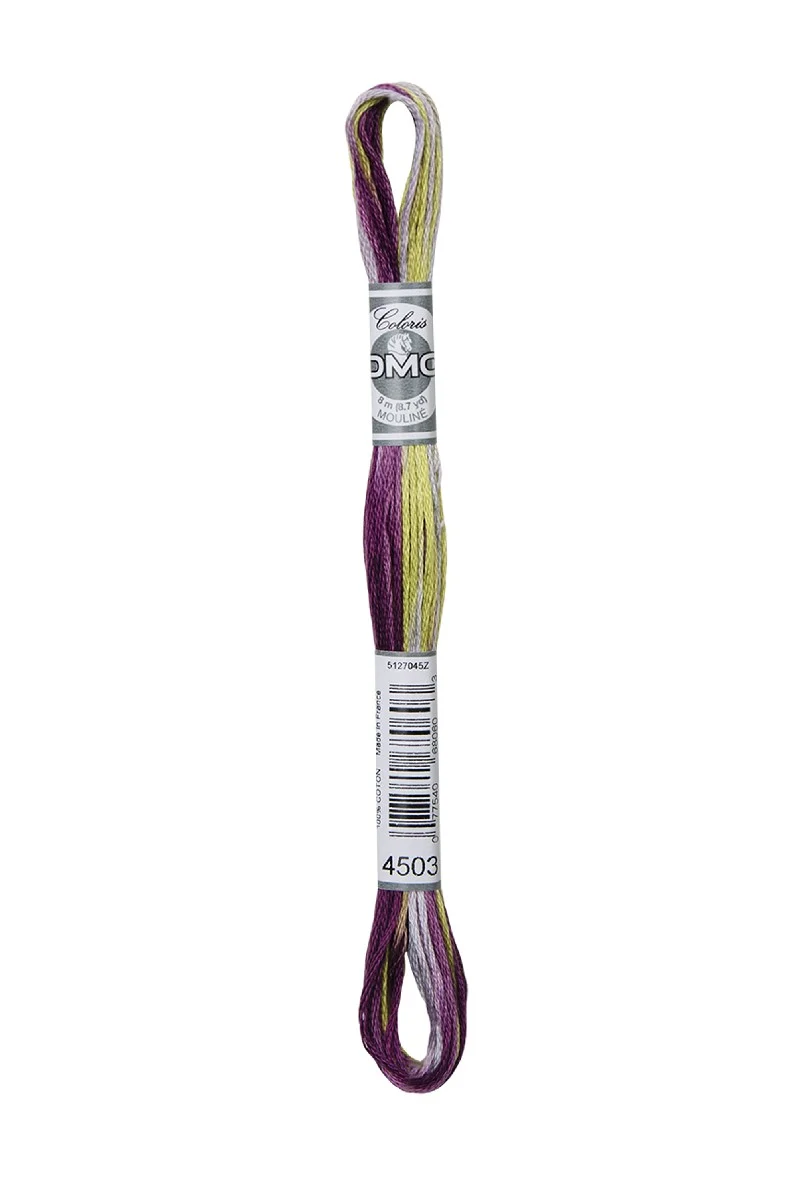 DMC Mouliné Coloris - 4503