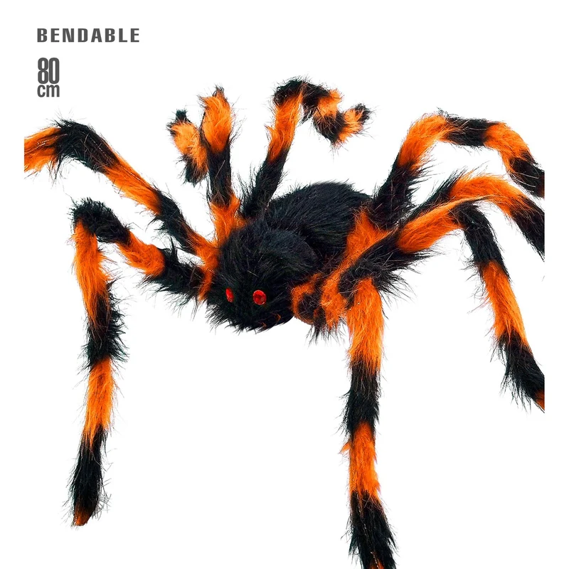 Harige Spin Oranje