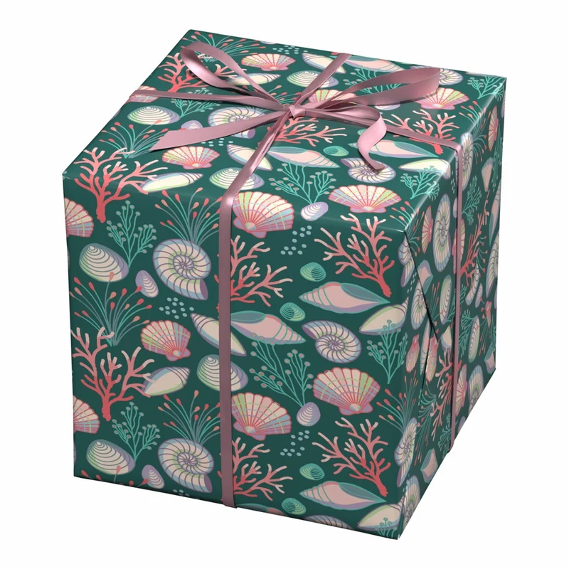 Cadeaupapier - 10 meter - zeeschelpen