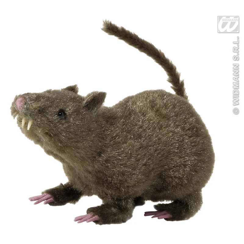 Harige Rat, 21 Centimeter