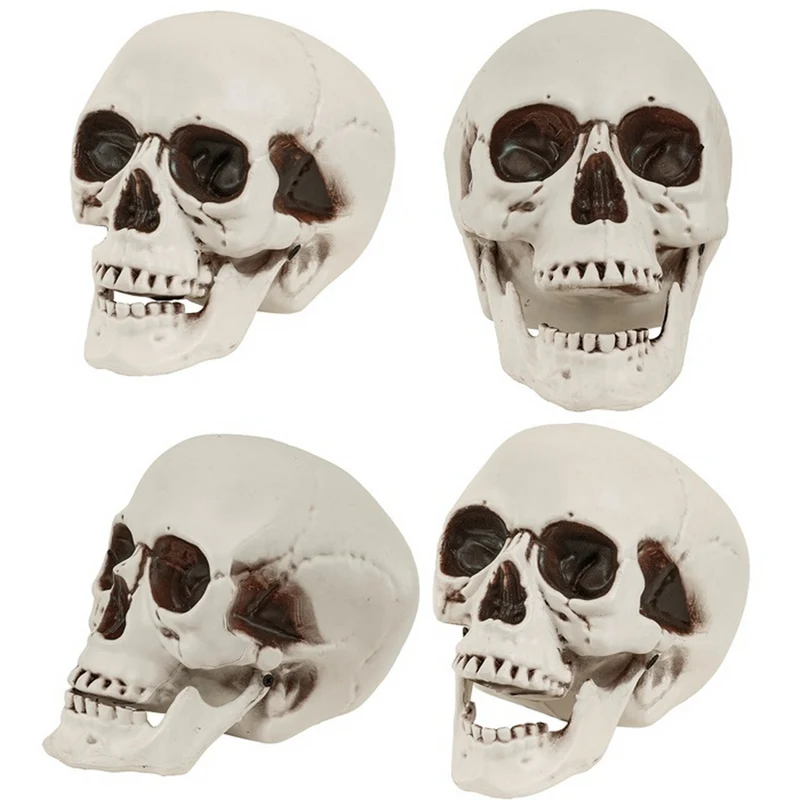 Decoratie Schedel Met Beweegbare Kaak