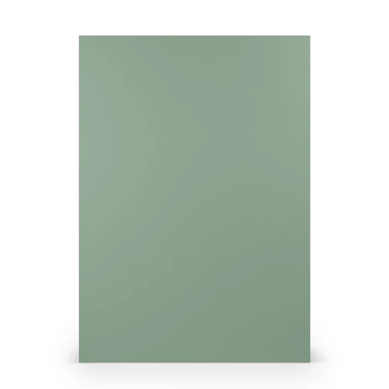 Karton - A4 - 5 stuks - groen