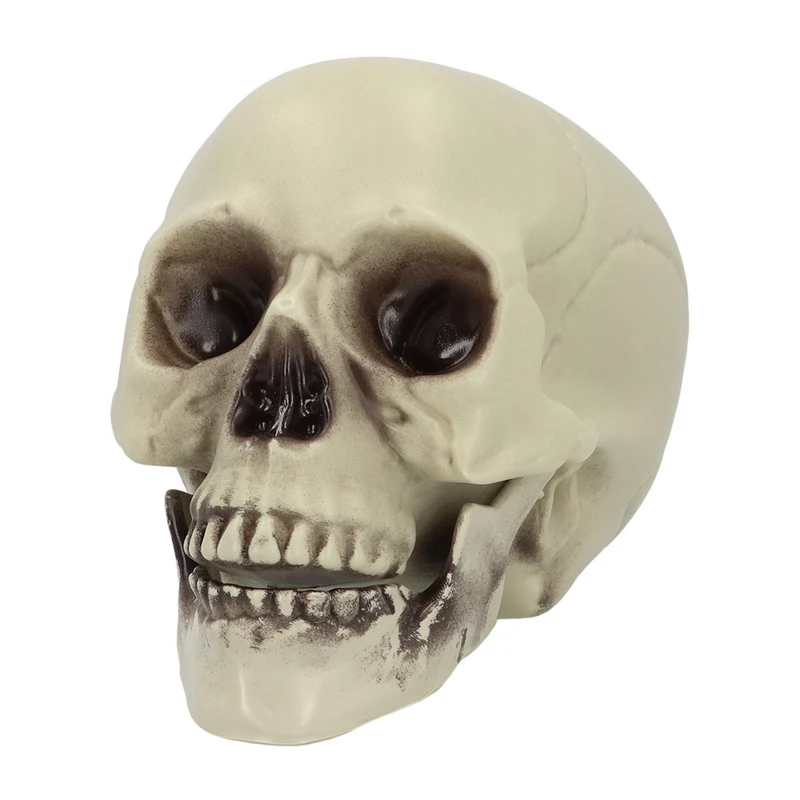 Decoratie Schedel Whisperbone