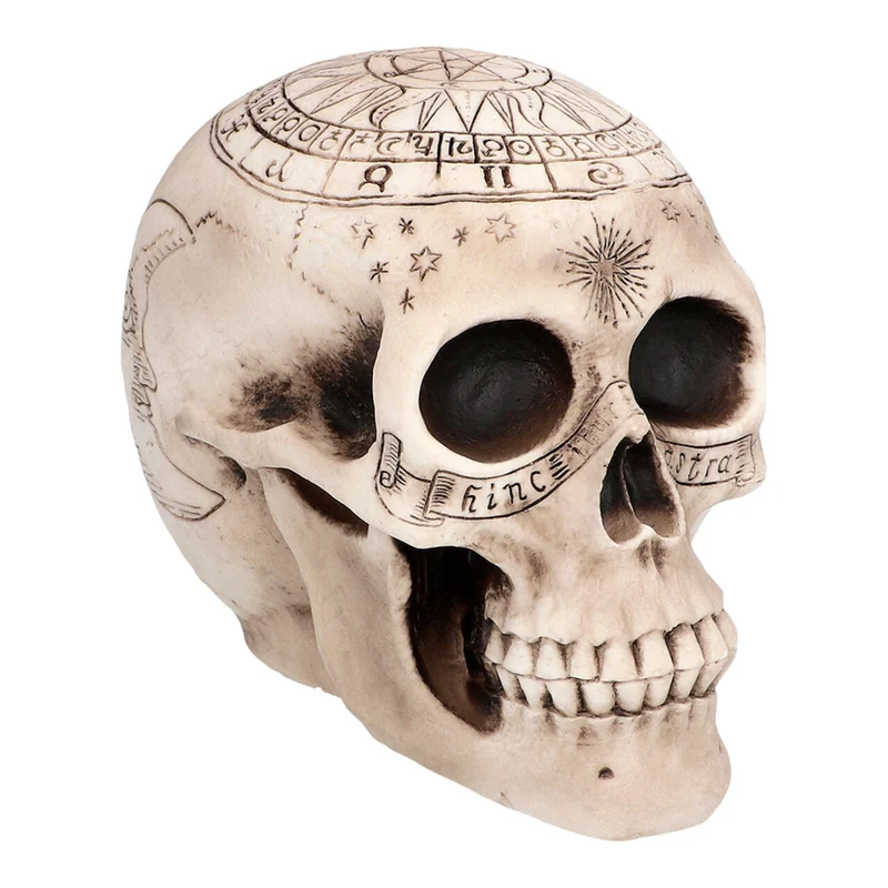 Decoratie Schedel Science Astronomy