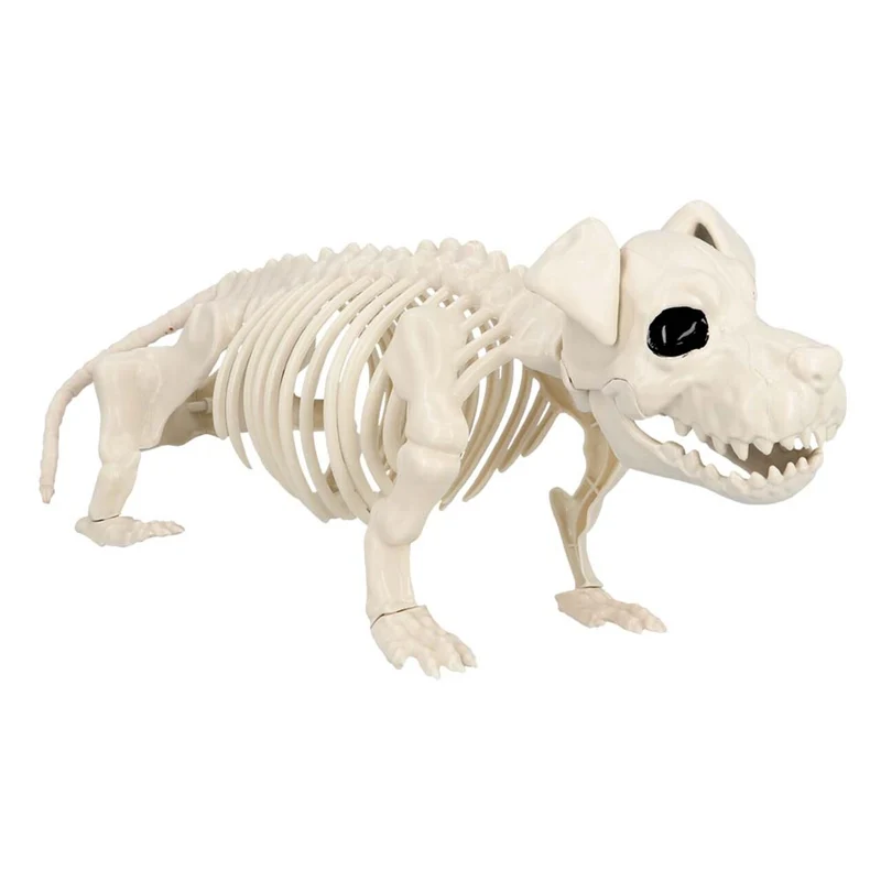 Decoratie Skelet Hond Bullie Dog