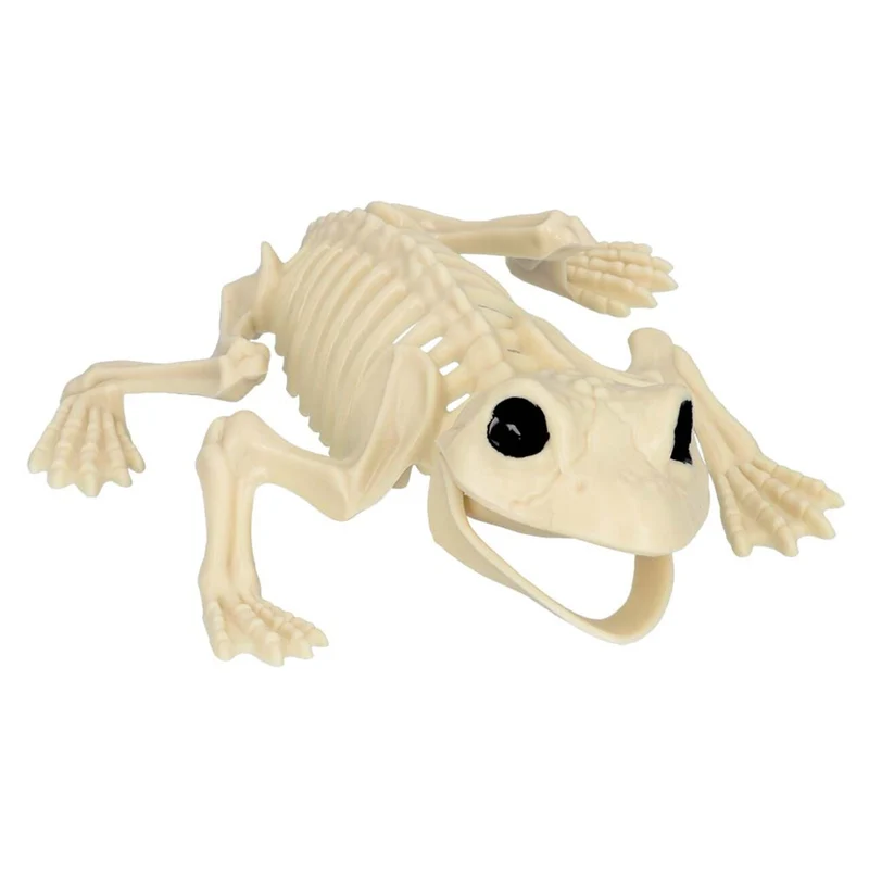 Decoratie Skelet Kikker