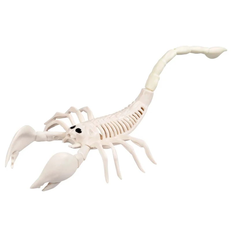 Decoratie Skelet Schorpioen Fossiel
