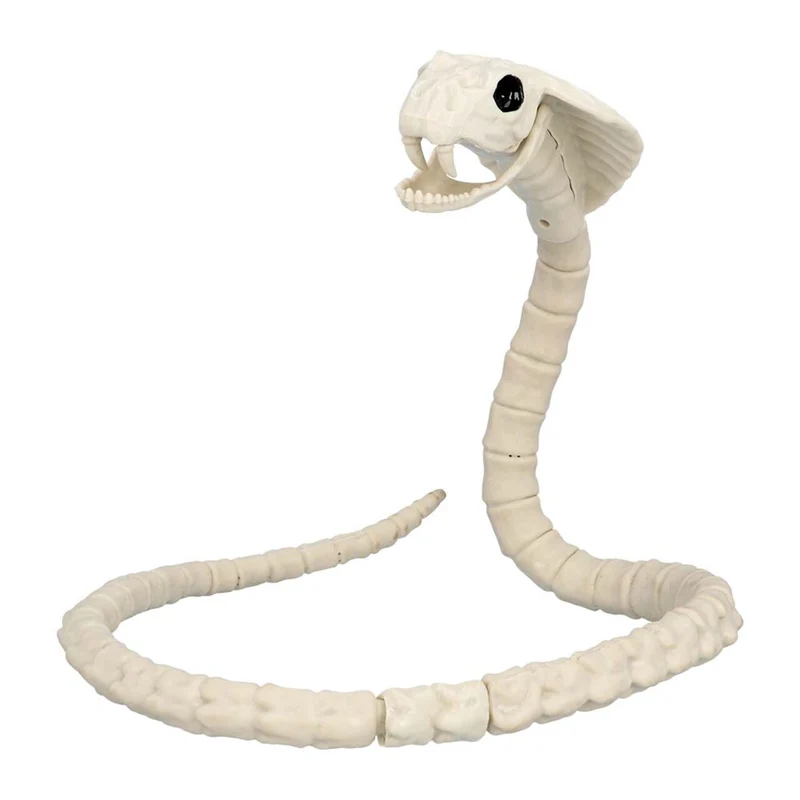 Decoratie Skelet Cobra Fangs