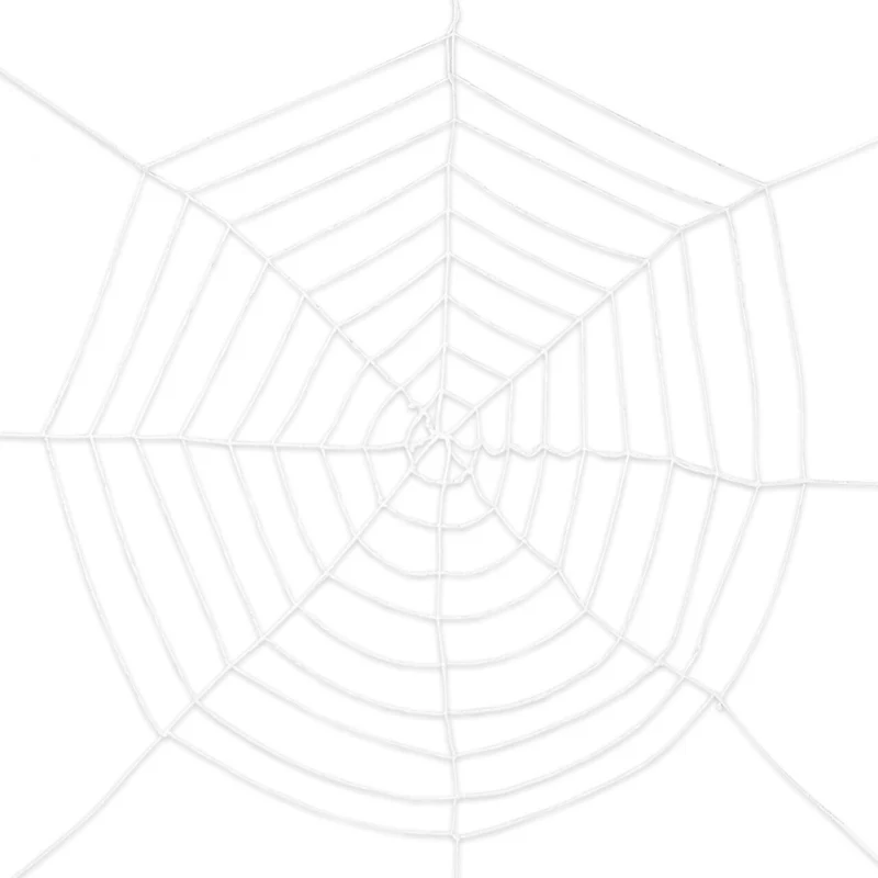 Enorm Groot Spinnenweb