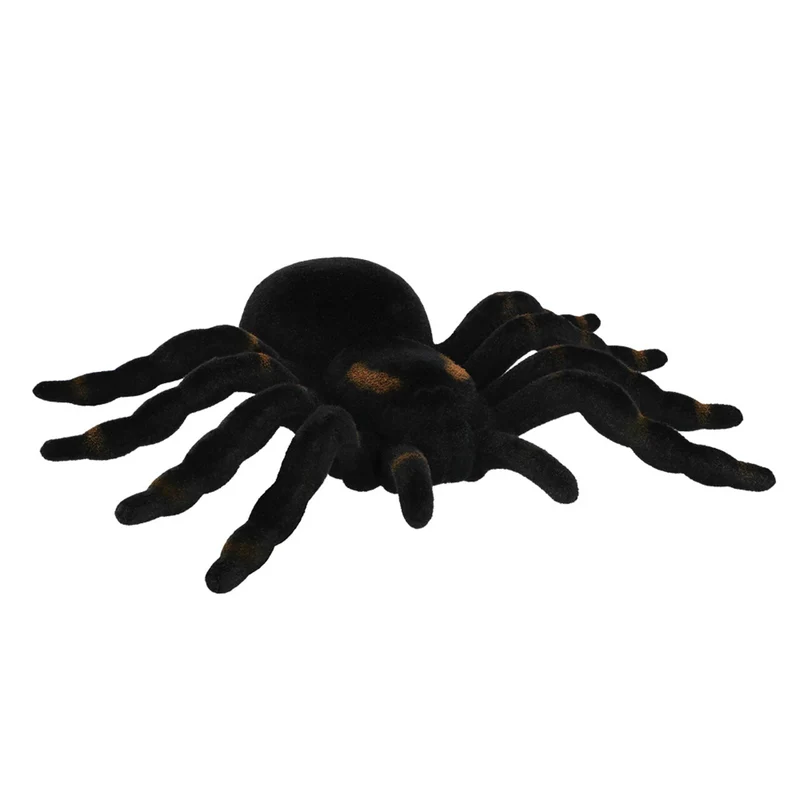 Decoratie Nachtkruiper Tarantula Spin