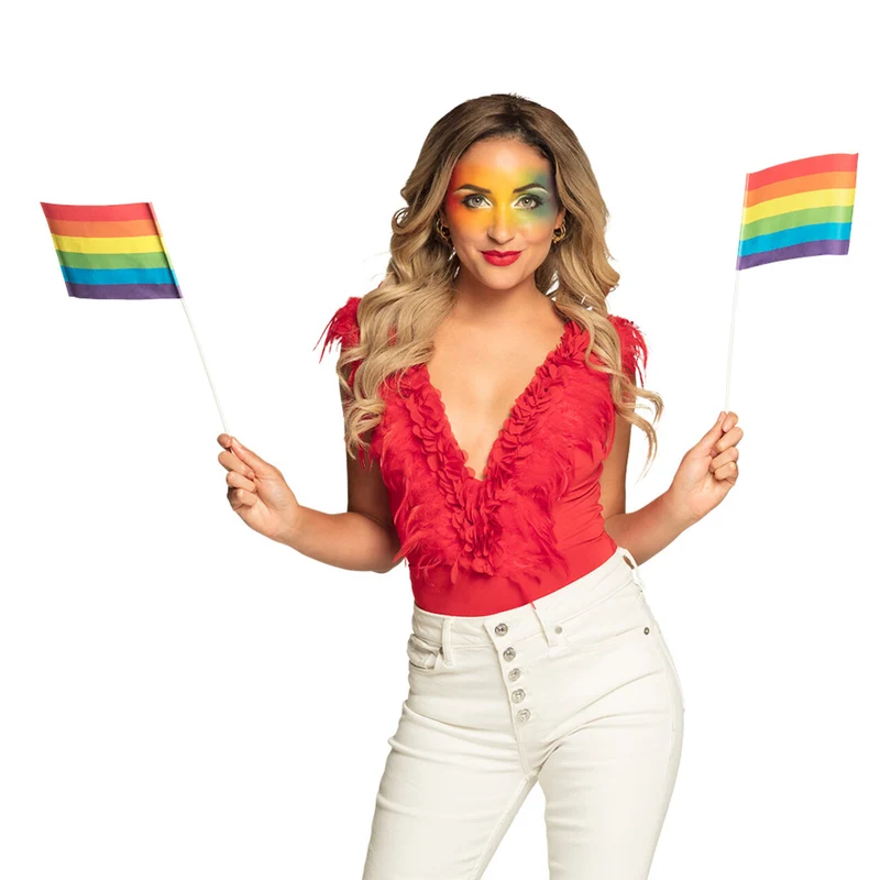 Set 6 Papieren Zwaaivlaggen Regenboog Klein