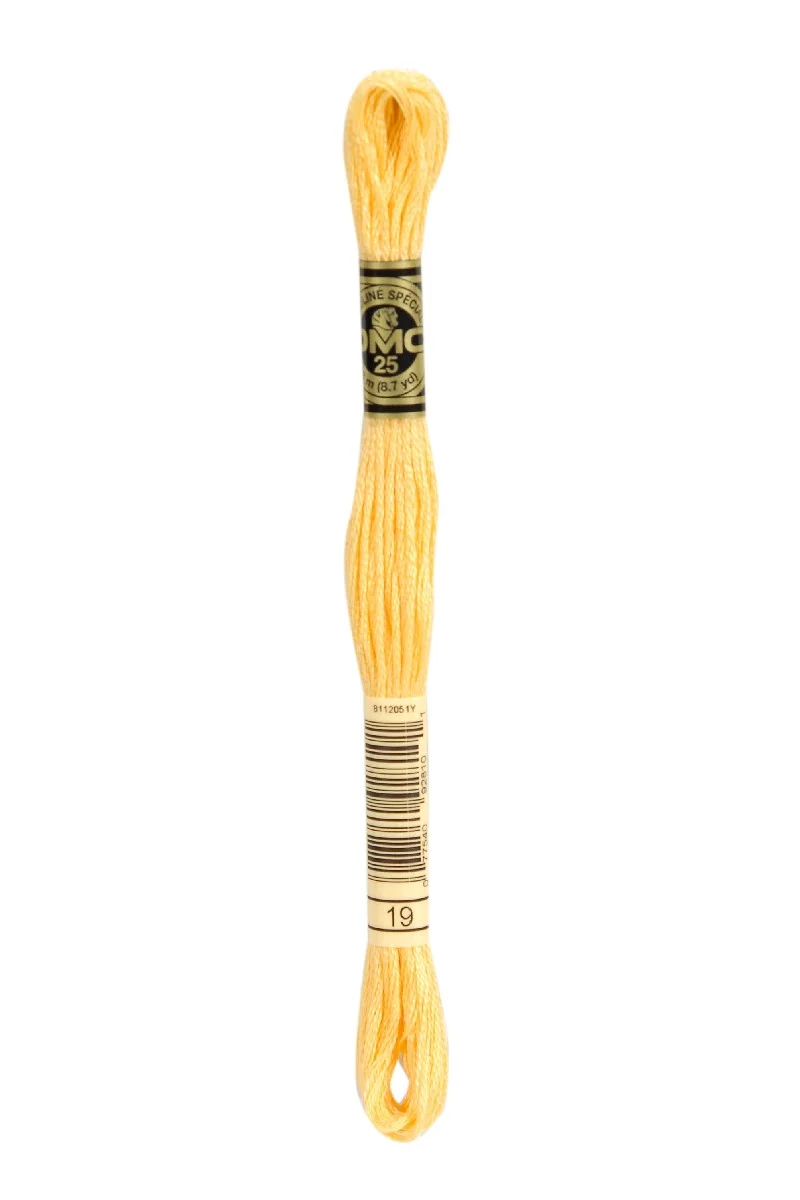 DMC Mouliné Spécial - 19