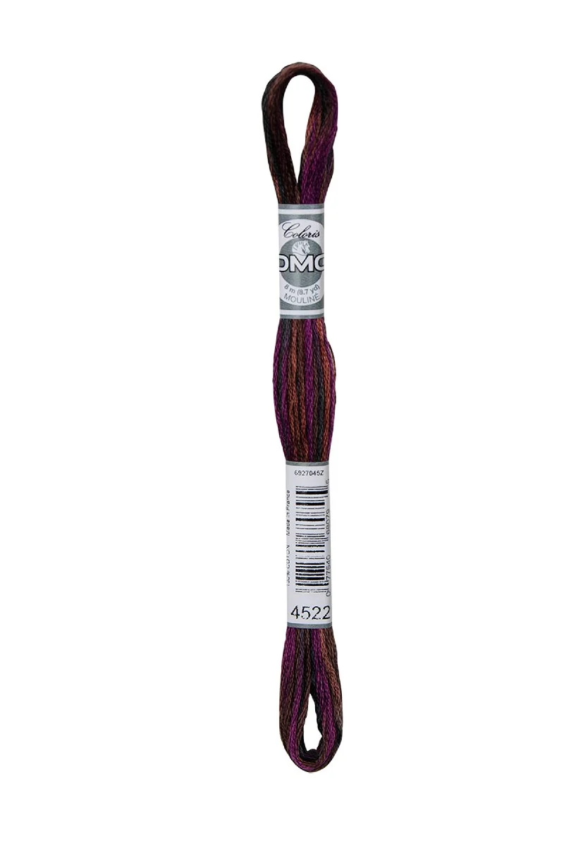 DMC Mouliné Coloris - 4522