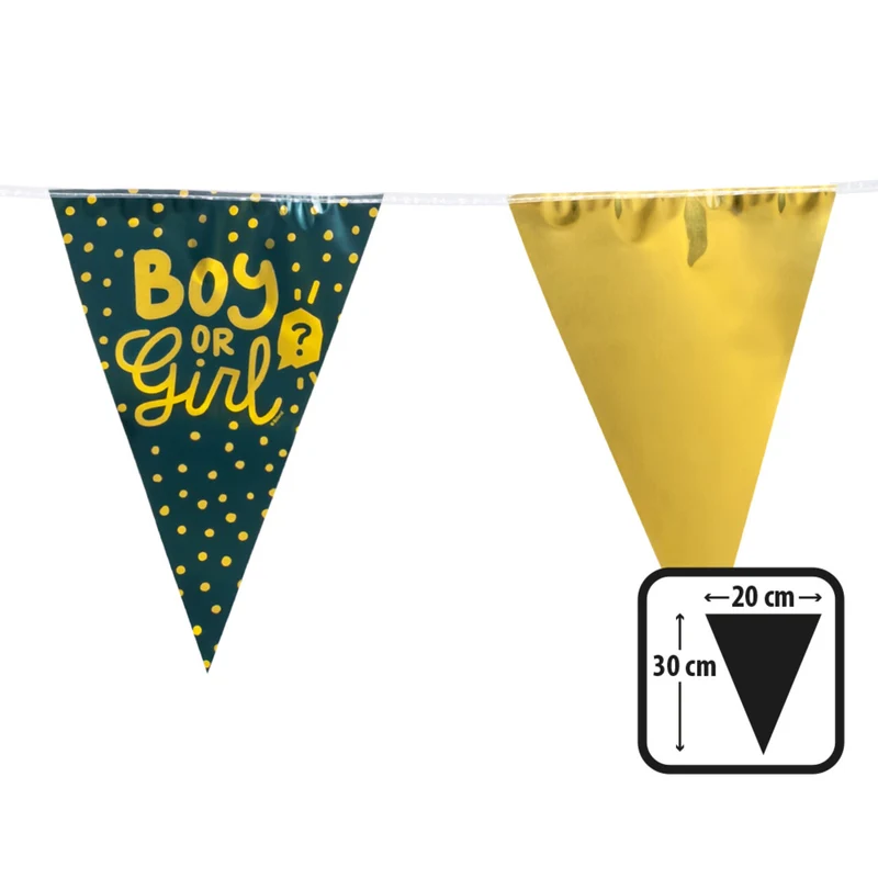 Vlaggenlijn Boy Or Girl Gender Reveal Party
