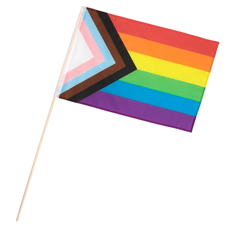 Wave Your Flag Rainbow Pride Progress Vlag