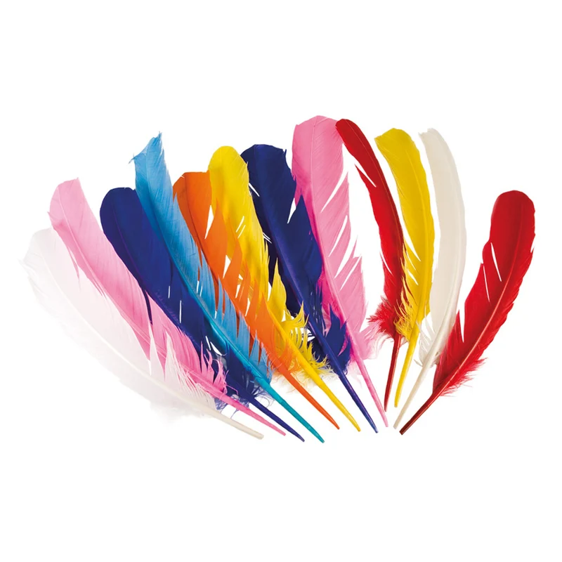 Set 12 Stuks Veren 7 Kleuren 30 Centimeter