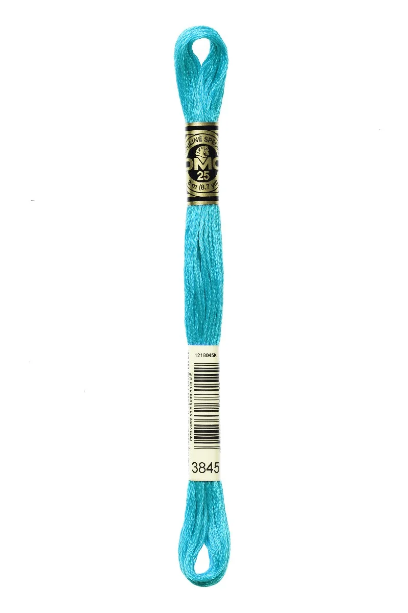 DMC Mouliné Spécial - 3845