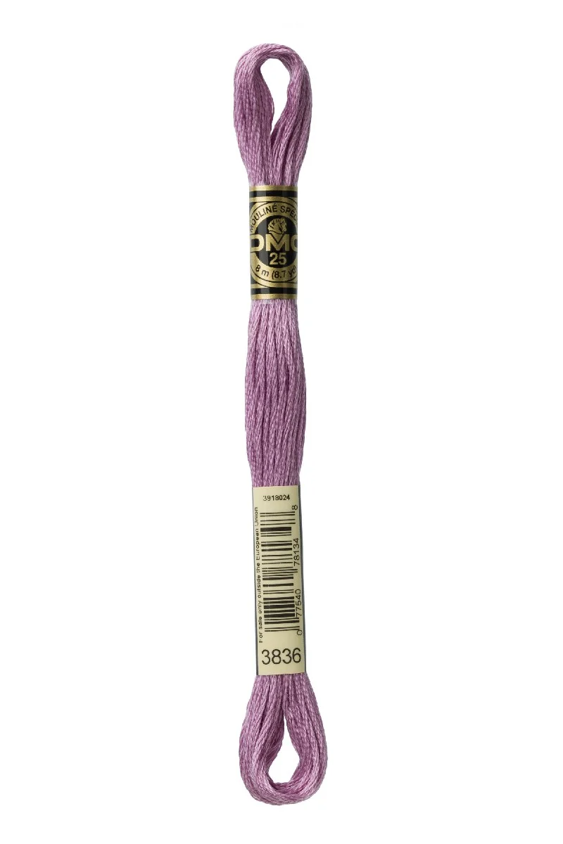 DMC Mouliné Spécial - 3836