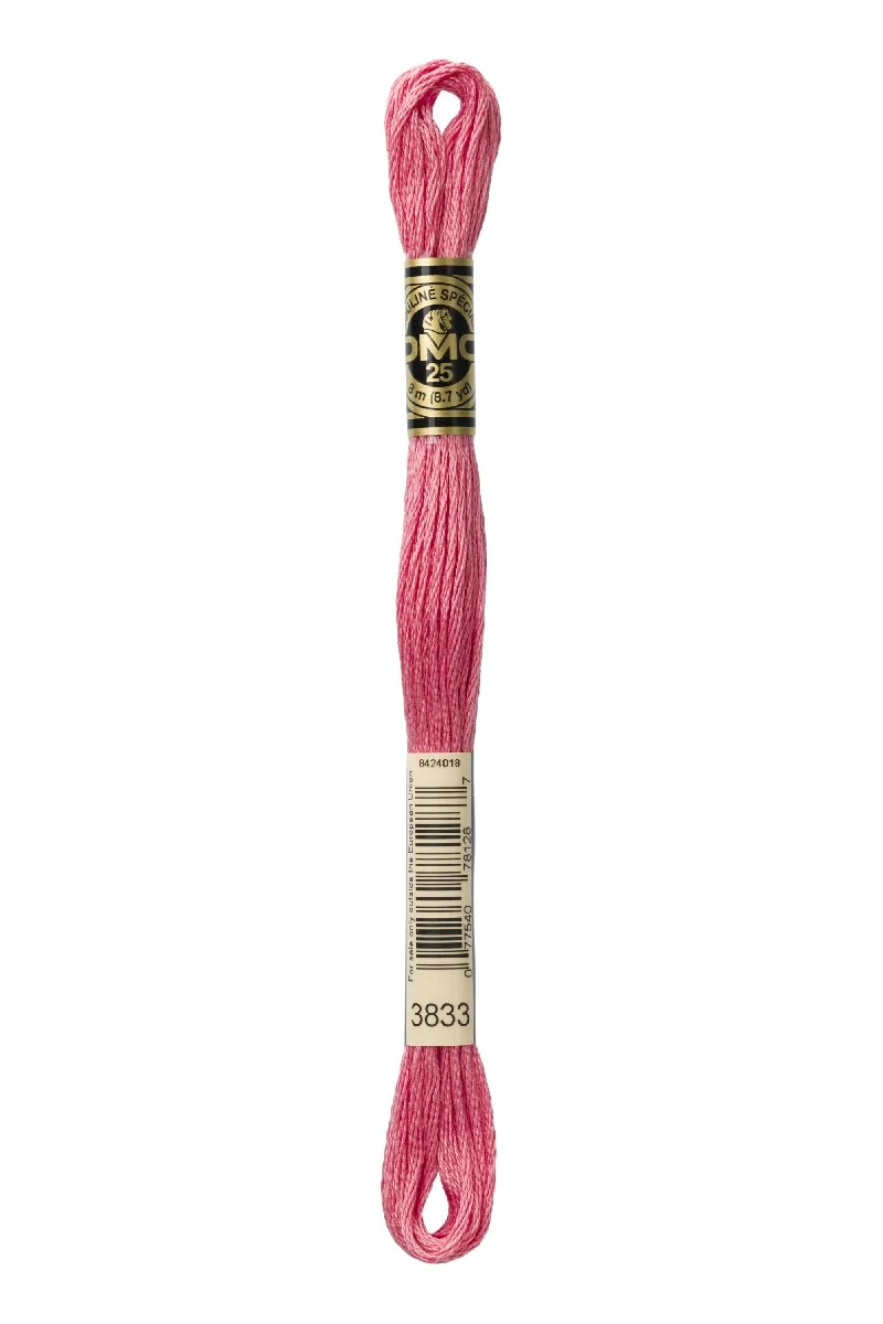 DMC Mouliné Spécial - 3833
