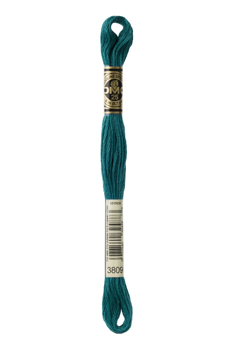 DMC Mouliné Spécial - 3809