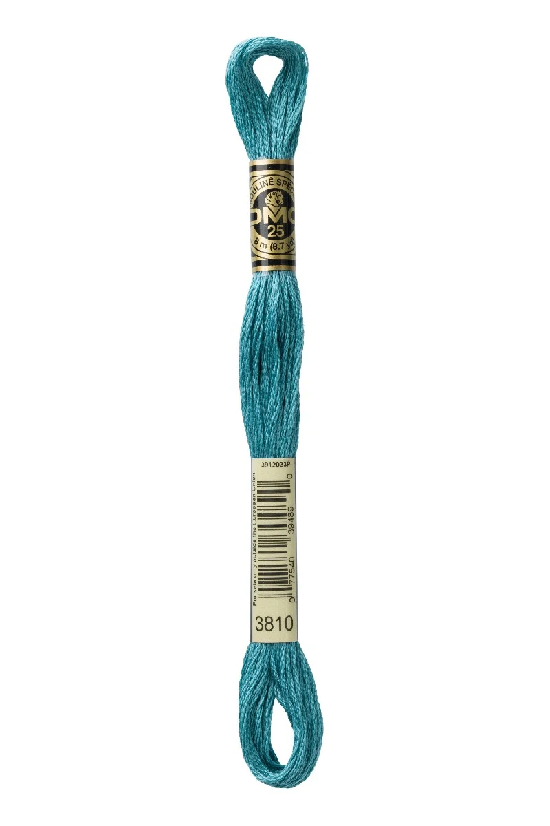 DMC Mouliné Spécial - 3810