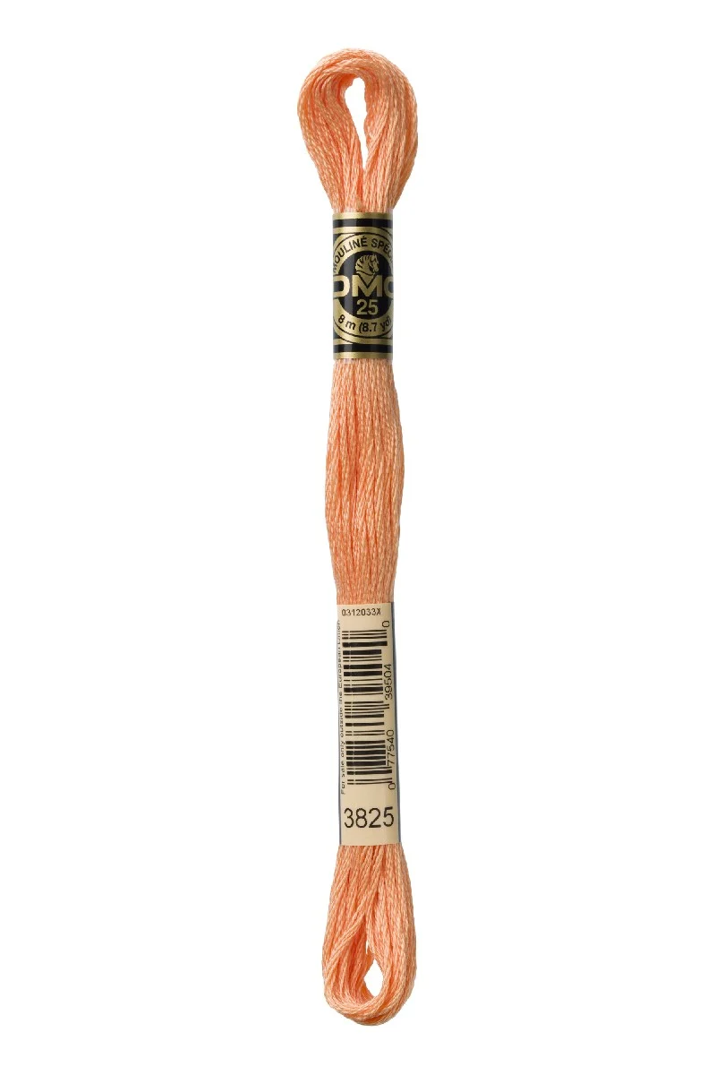DMC Mouliné Spécial - 3825