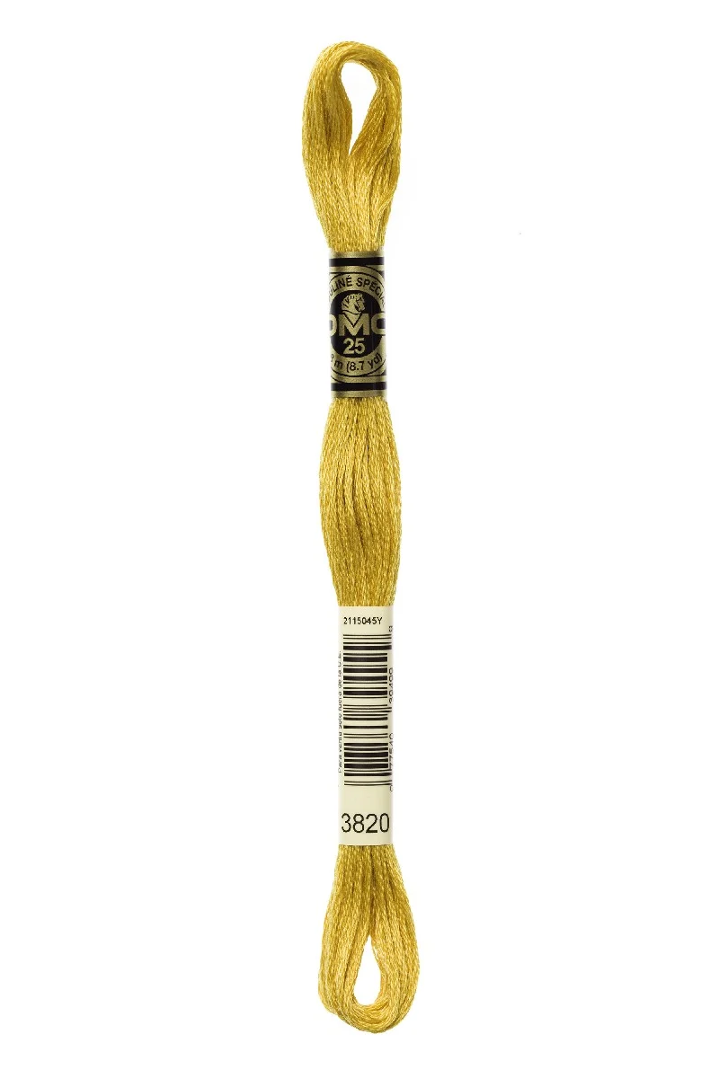 DMC Mouliné Spécial - 3820