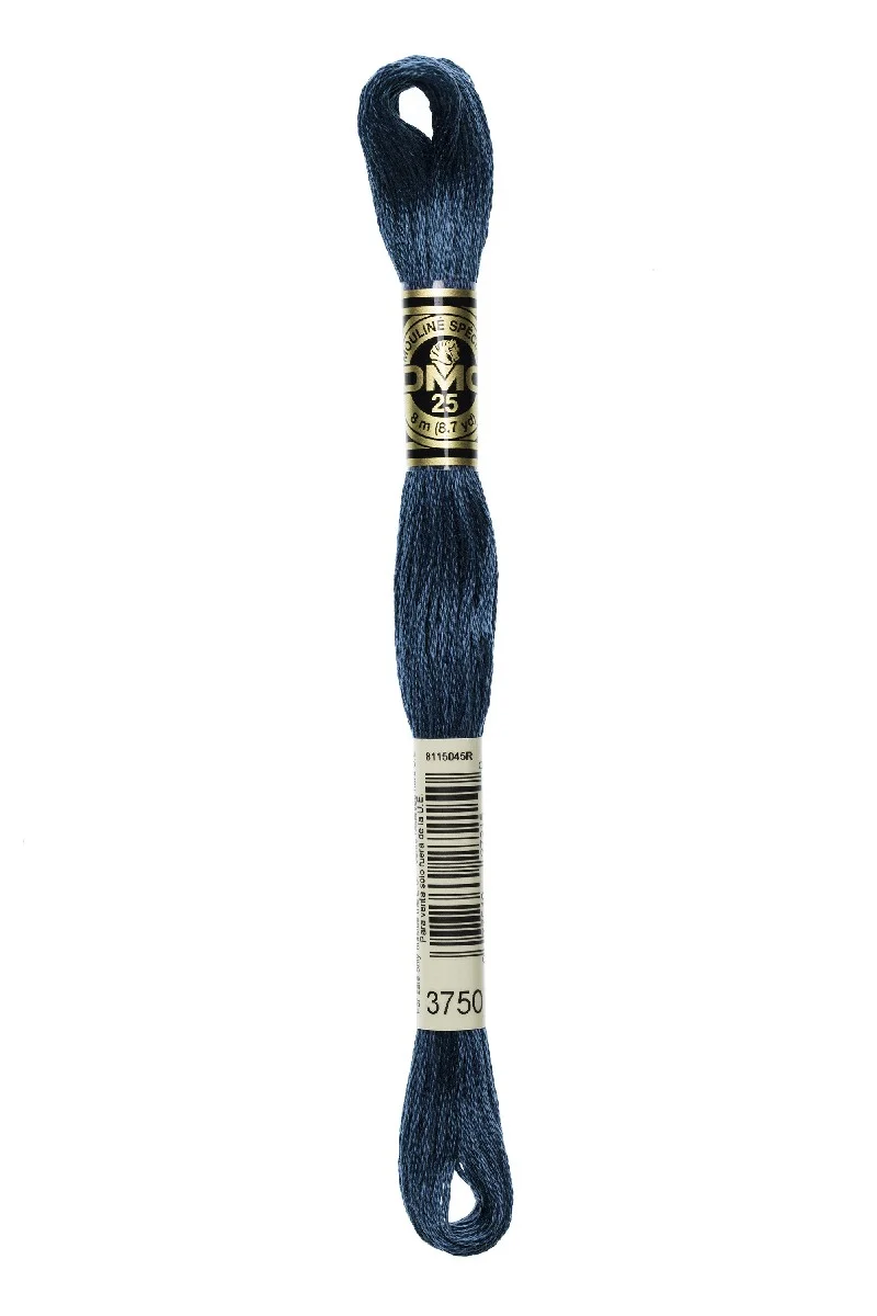 DMC Mouliné Spécial - 3750