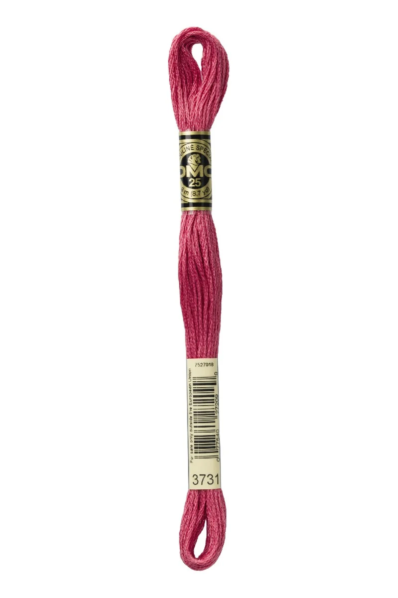 DMC Mouliné Spécial - 3731