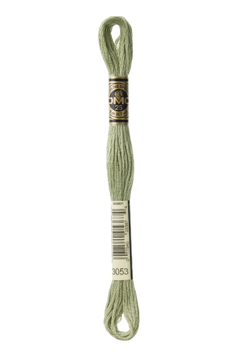 DMC Mouliné Spécial - 3053