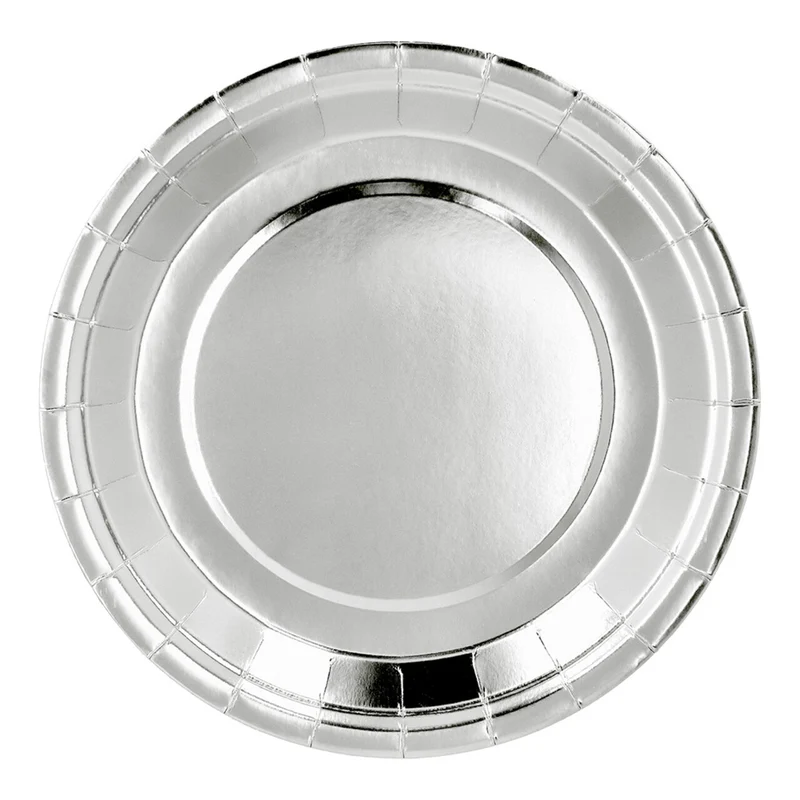 Papieren Feestbordjes Zilver 6 Stuks