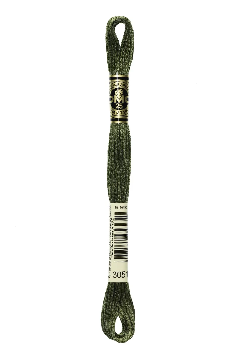 DMC Mouliné Spécial - 3051