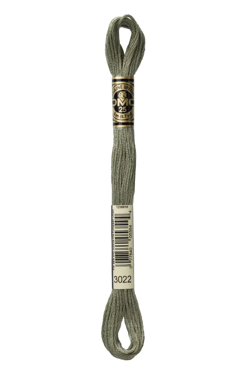 DMC Mouliné Spécial - 3022