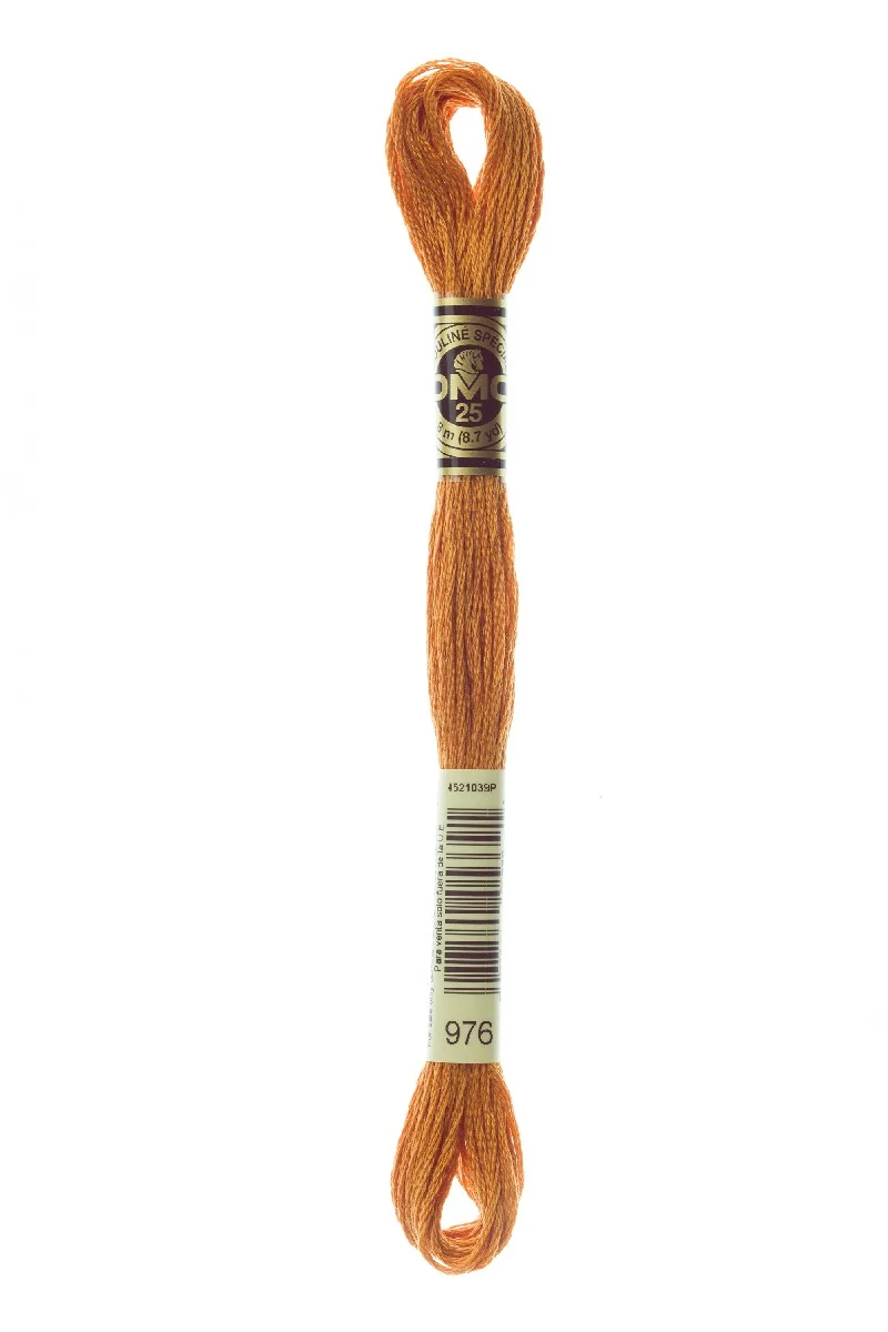 DMC Mouliné Spécial - 976