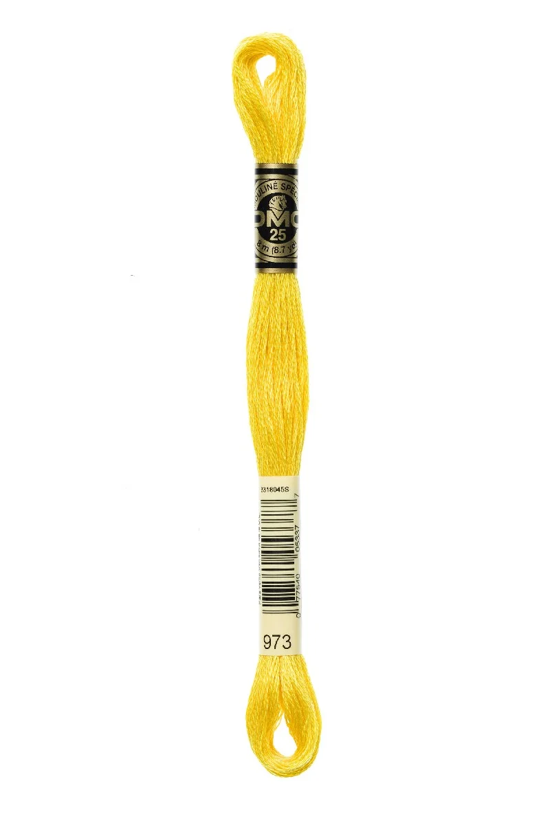 DMC Mouliné Spécial - 973