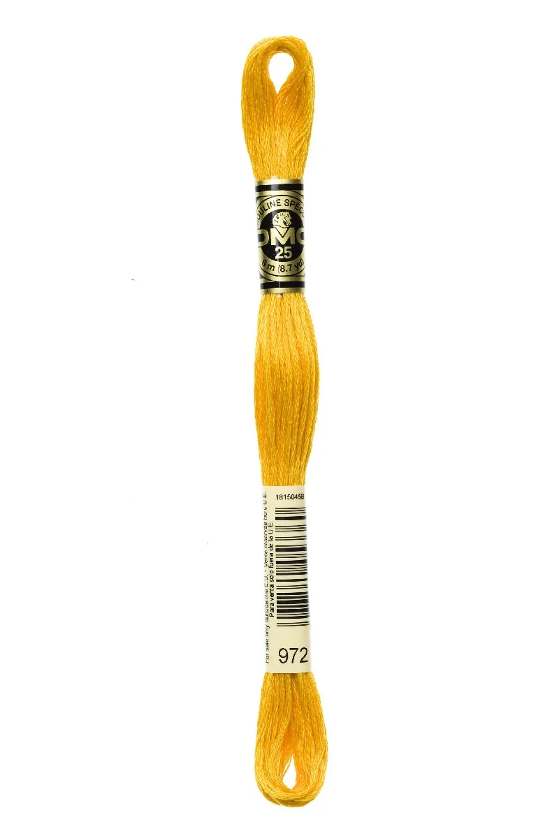 DMC Mouliné Spécial - 972