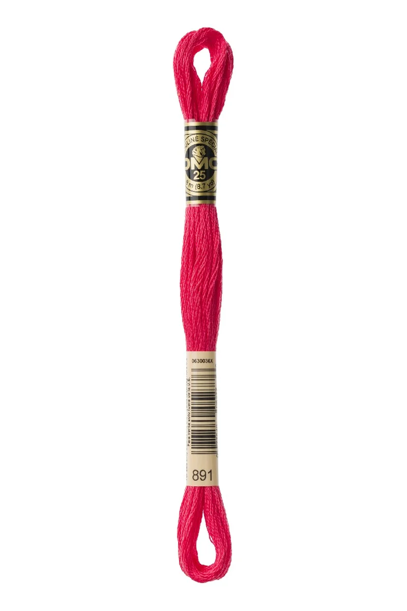 DMC Mouliné Spécial - 891