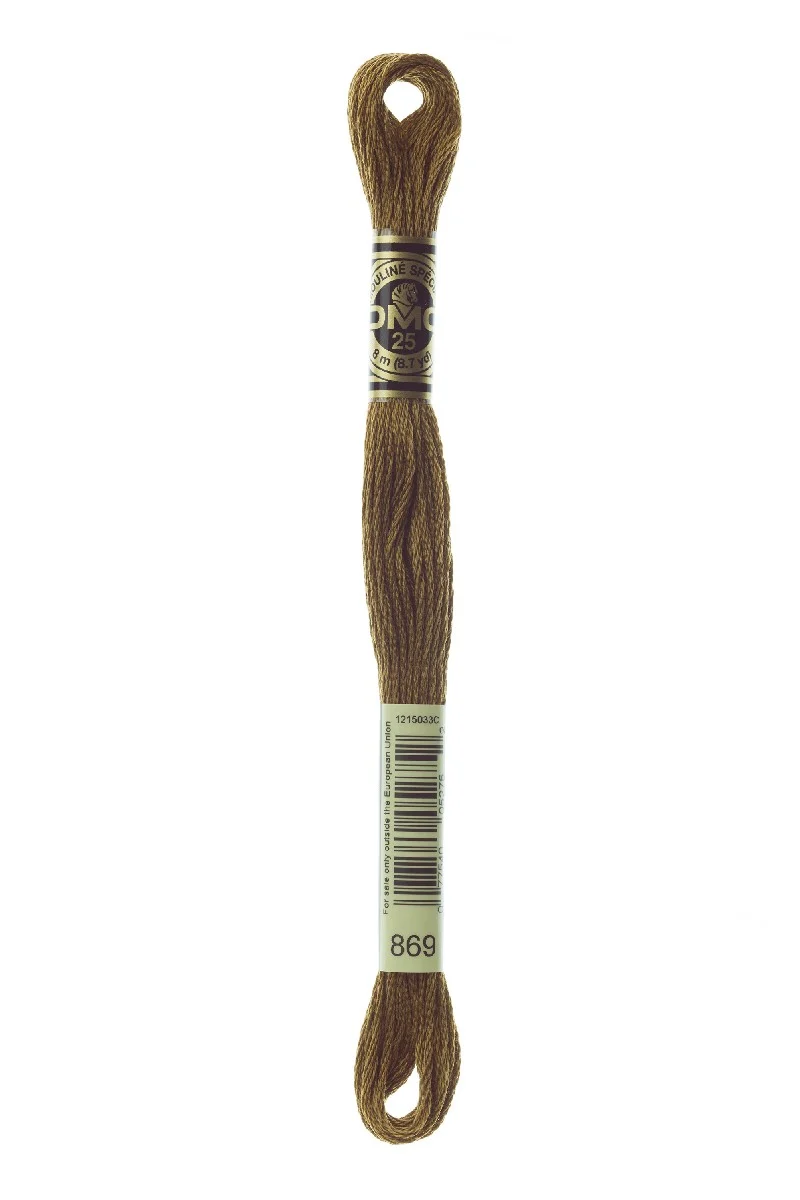 DMC Mouliné Spécial - 869