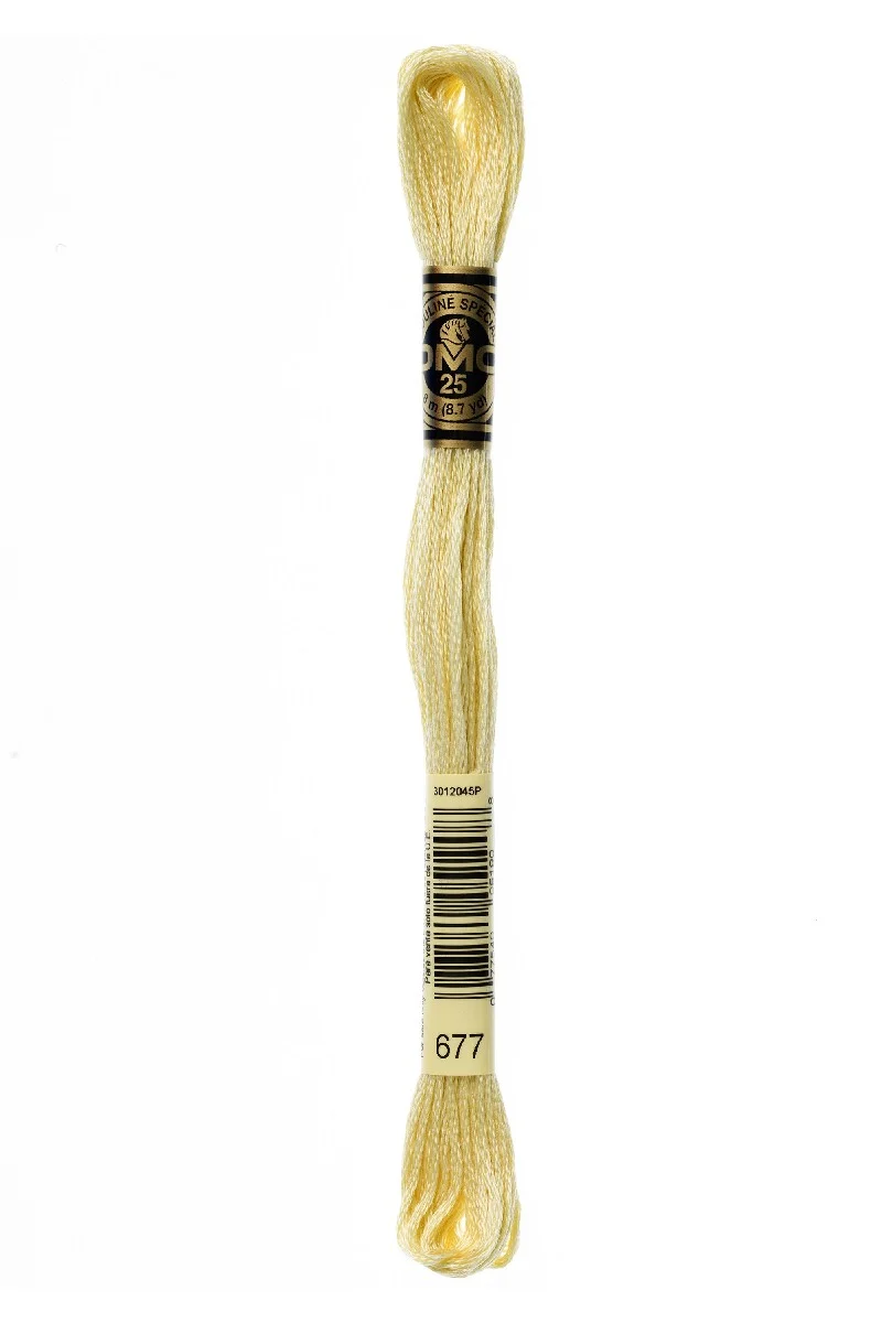 DMC Mouliné Spécial - 677