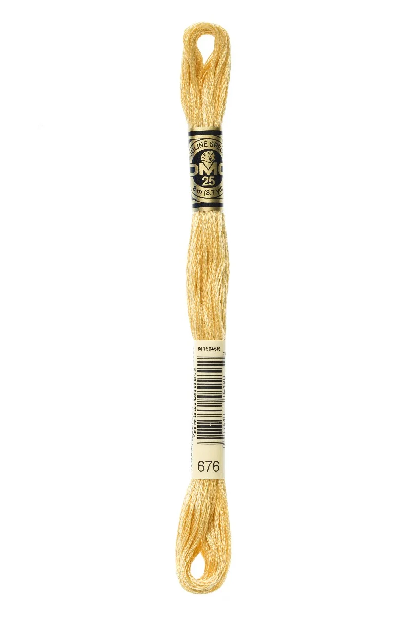 DMC Mouliné Spécial - 676