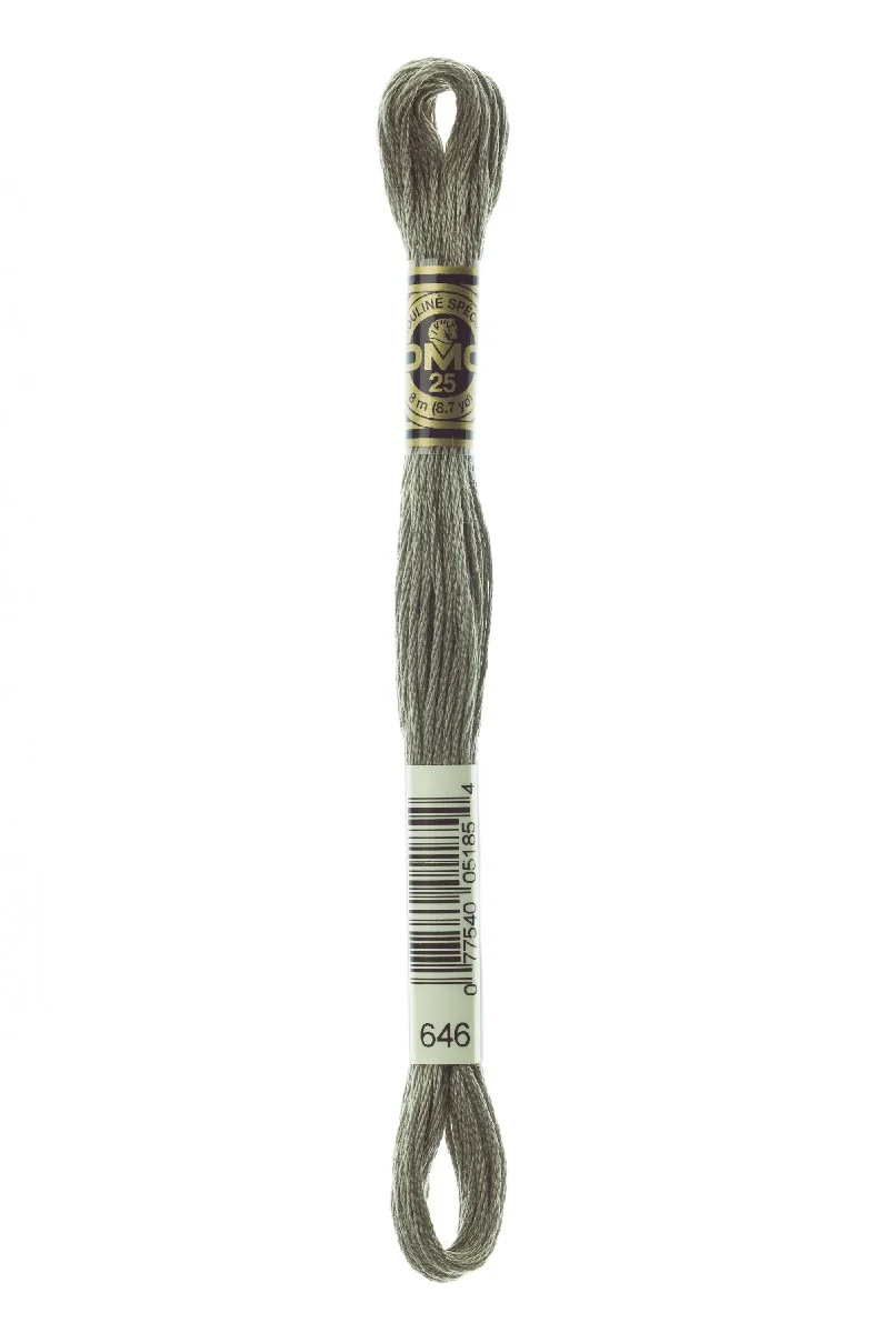DMC Mouliné Spécial - 646