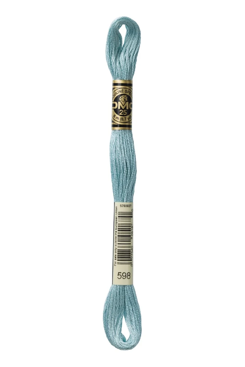 DMC Mouliné Spécial - 598