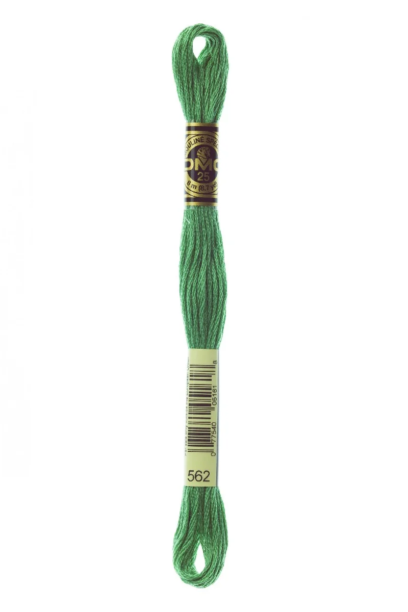 DMC Mouliné Spécial - 562