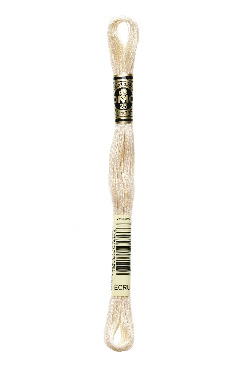 DMC Mouliné Spécial - 080