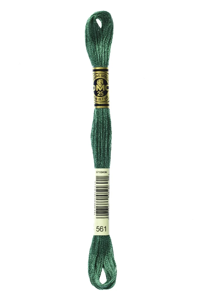 DMC Mouliné Spécial - 561
