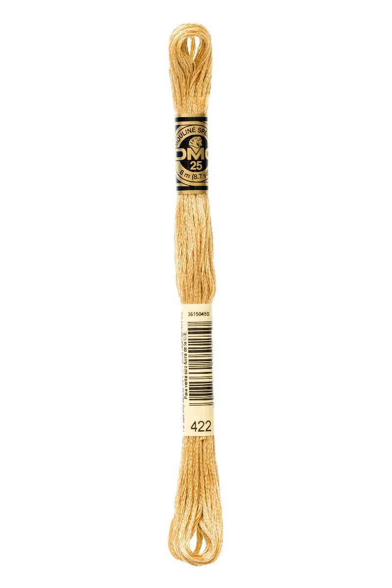 DMC Mouliné Spécial - 422