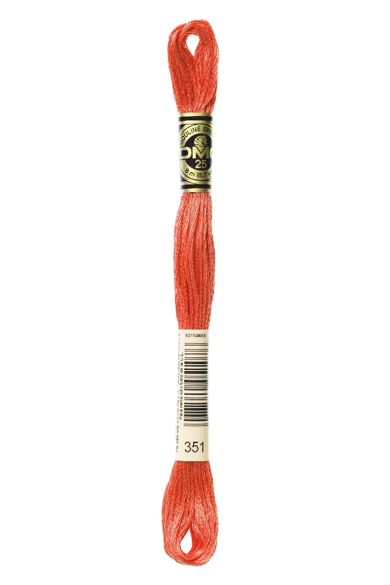 DMC Mouliné Spécial - 351