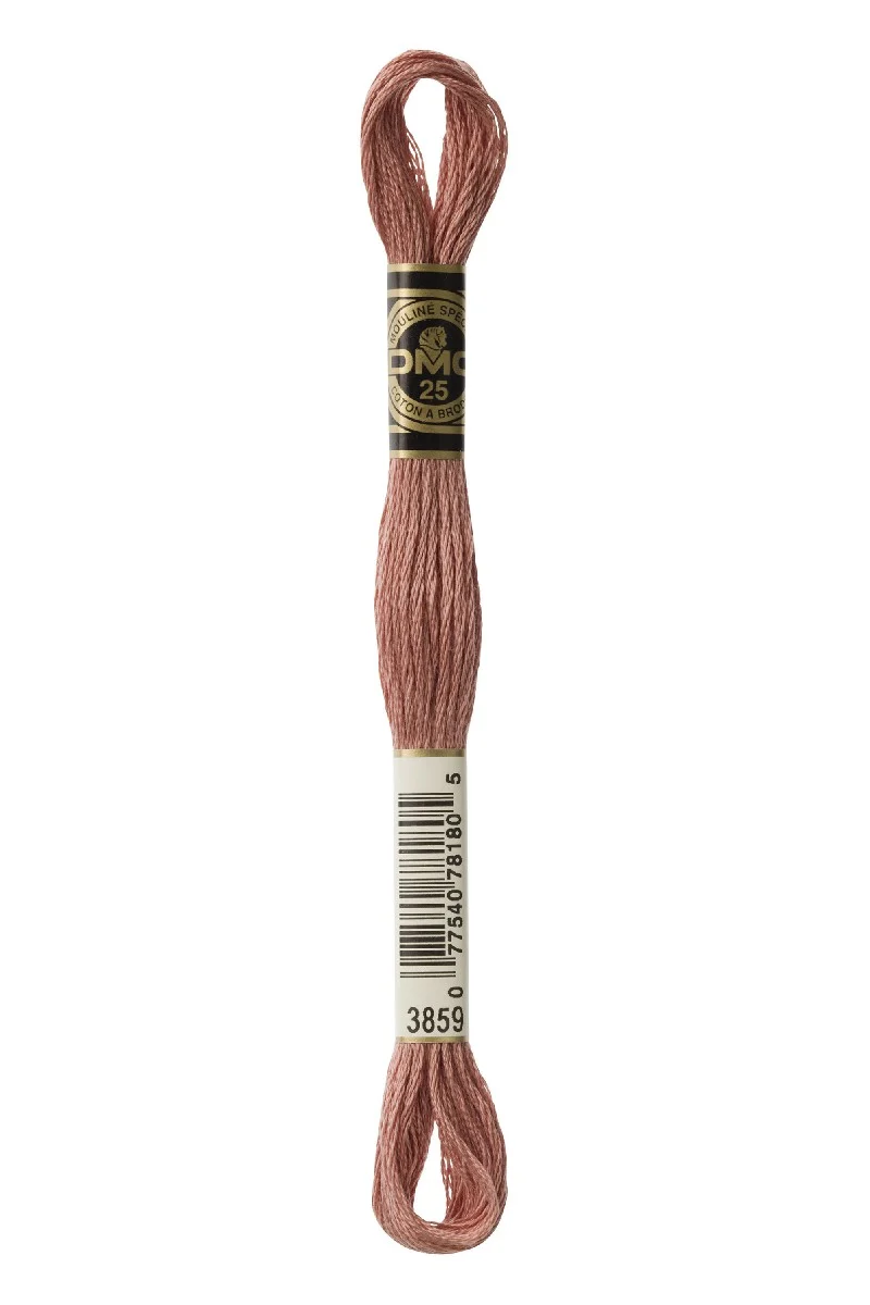 DMC Mouliné Spécial - 3859