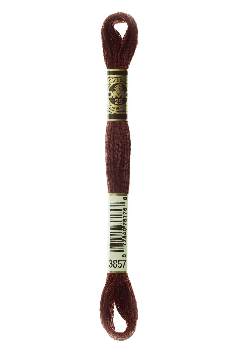 DMC Mouliné Spécial - 3857